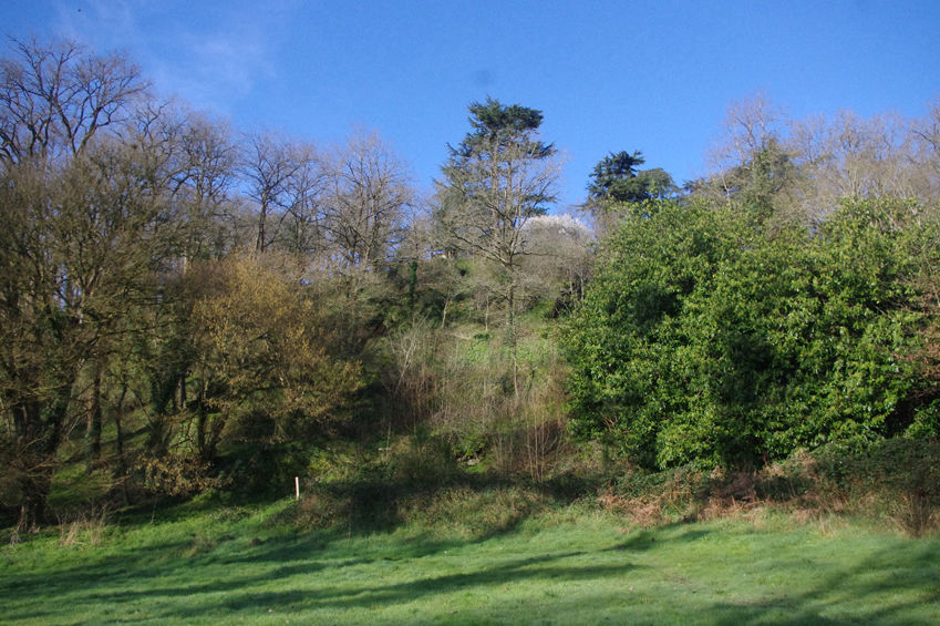 Photo présentant le site des terrasses à misi en 2020, avant le défrichement.