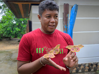Transformative Conservation Inspired by Insects