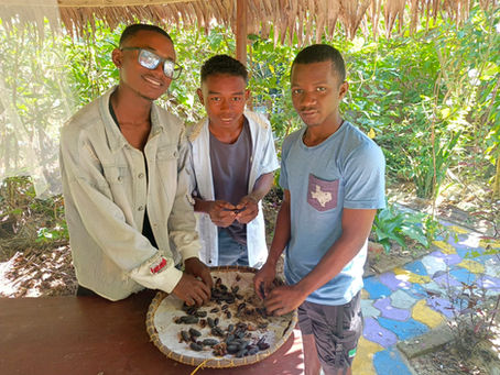 The Apprentice: Sericulture Edition