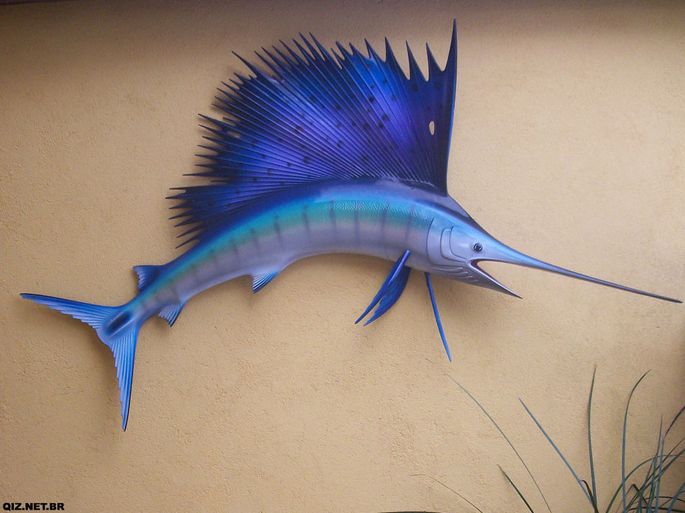 SP_Ubatuba_Marlin.jpg