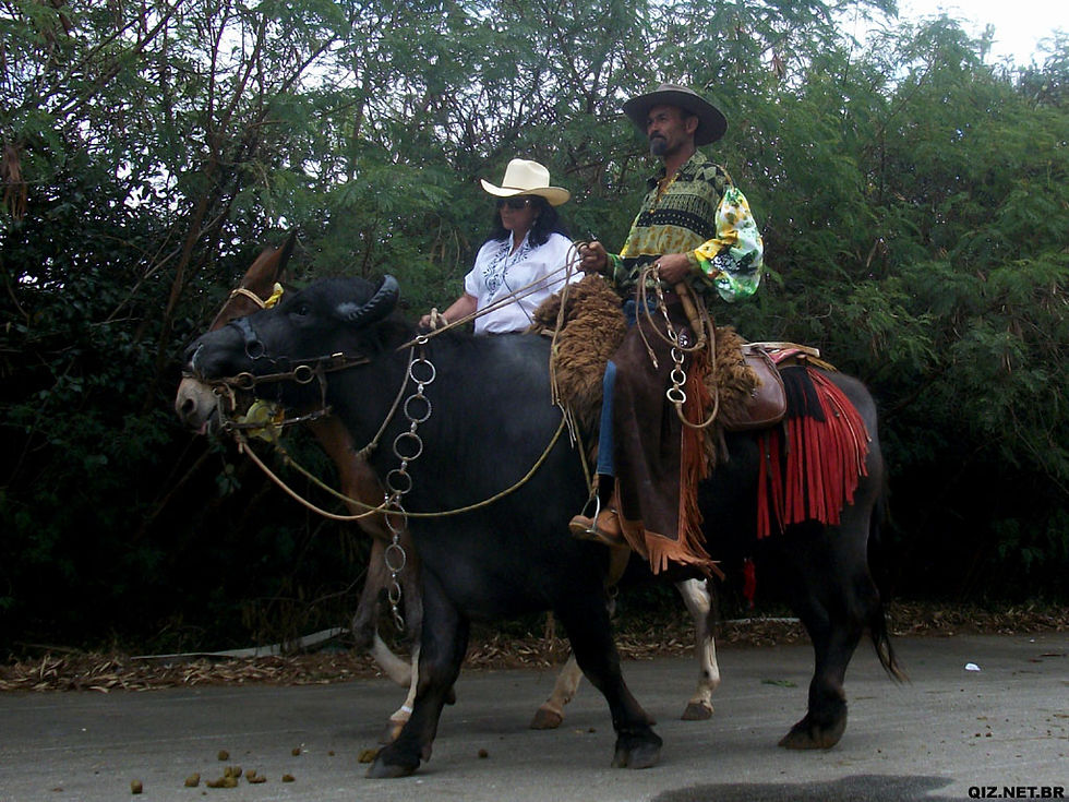 Tropeiros