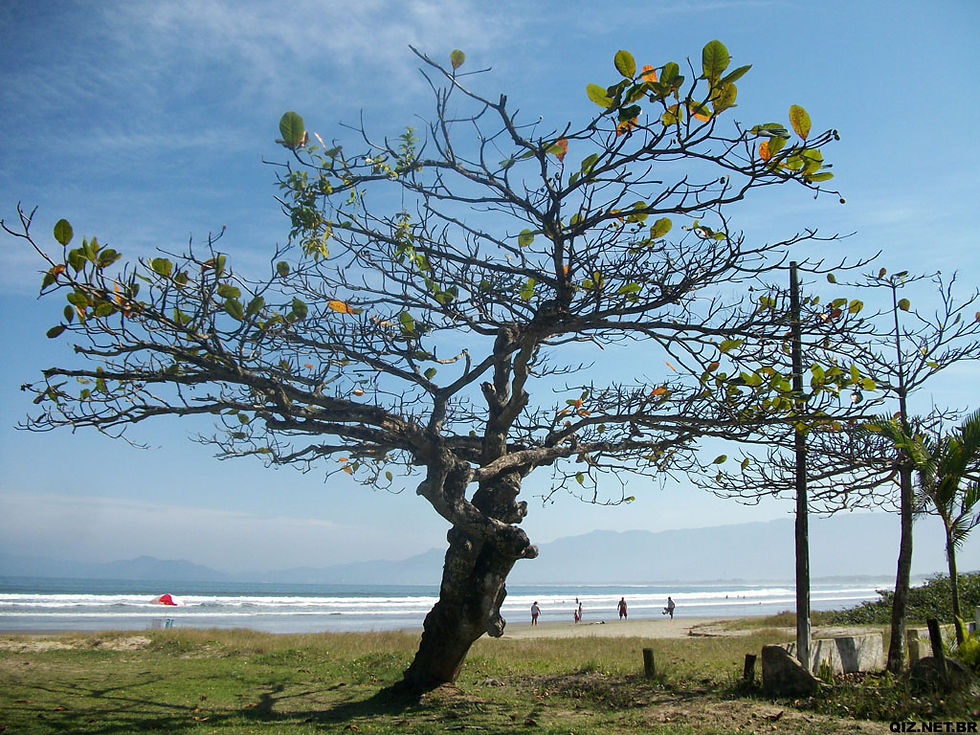 SP_Bertioga_ChapeudePraia.jpg
