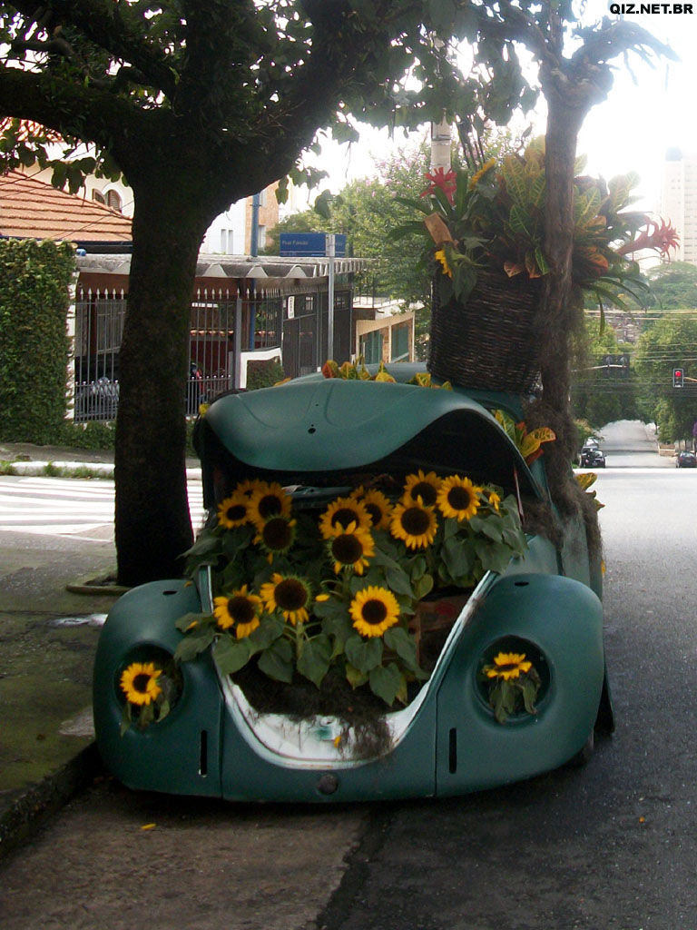 SP_SPaulo_VMadalena_Fusca_Verde_2.jpg