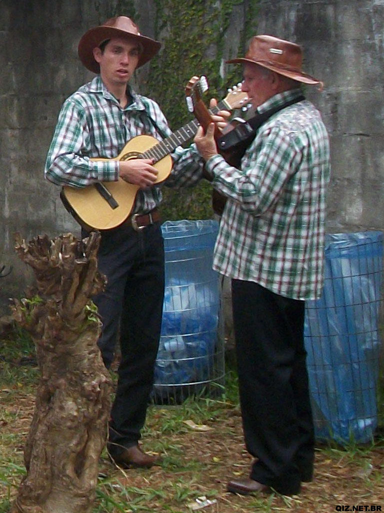 Violeiros