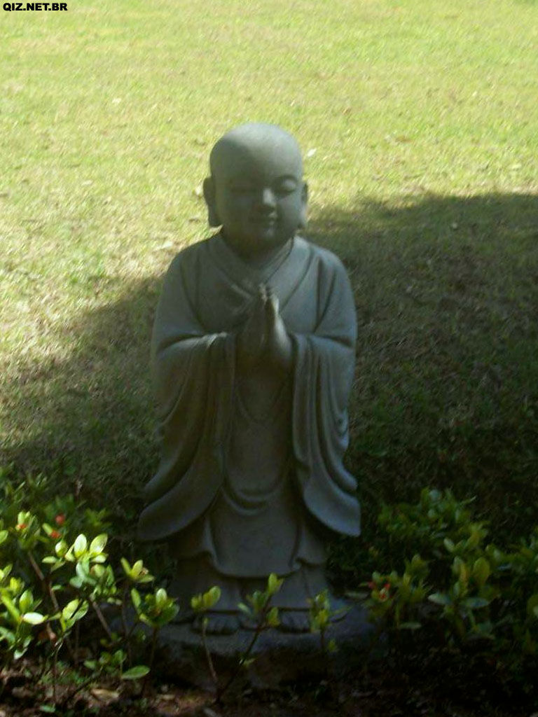 Buda