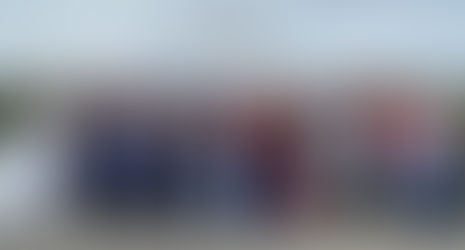 An amazing trip to the Taranaki Garden Festival - By John Lovell