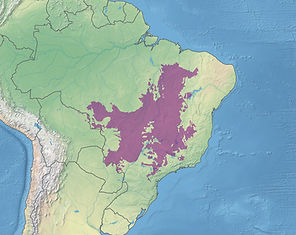 brasilien auf der karte