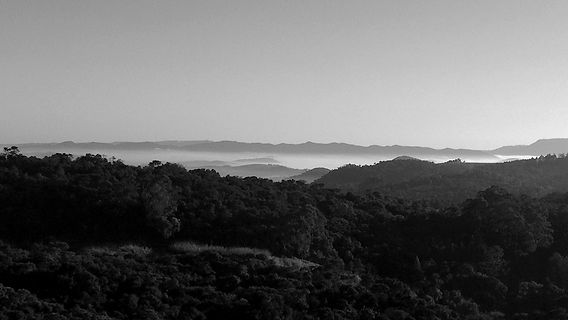 neblina2.jpg
