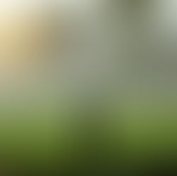 Upcoming Water Meter Replacement Project