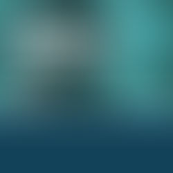 2022 State of Recycling and Composting Report