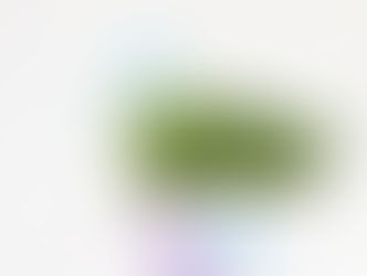 DIY MERMAID PLANT POT