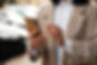 Cellphone_edited.jpg