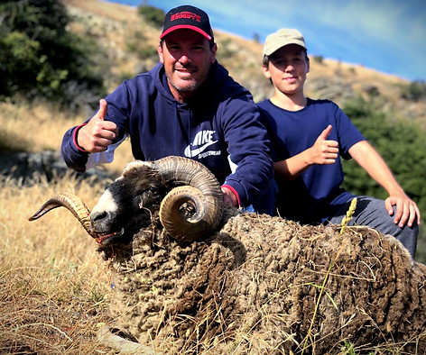 Alps Outfitters New Zealand Arapawa Ram
