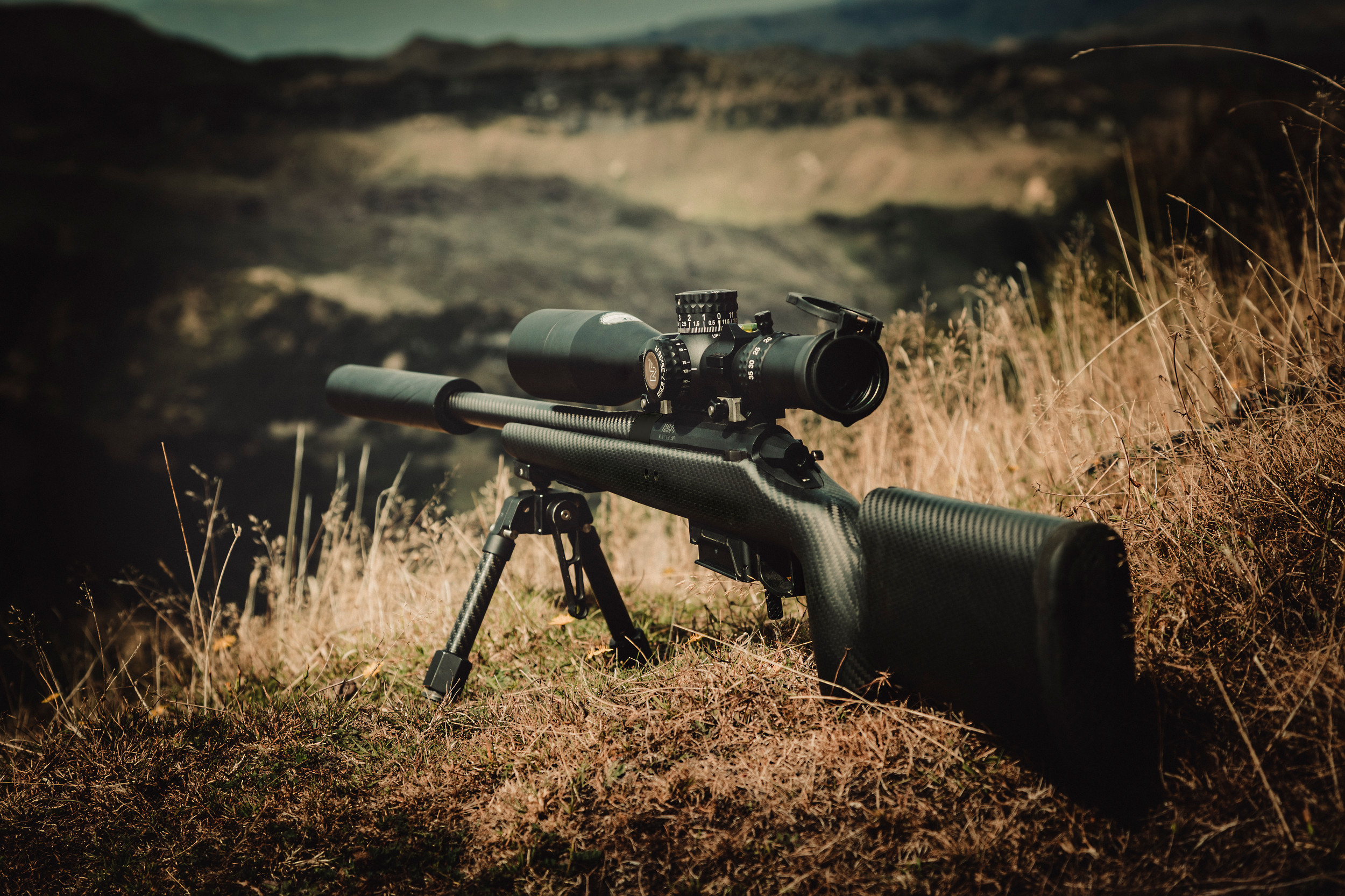 DEALERS Hardy Hybrid