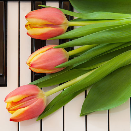 Spring checkup & refocus