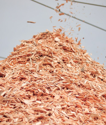 Madera verde cepillado