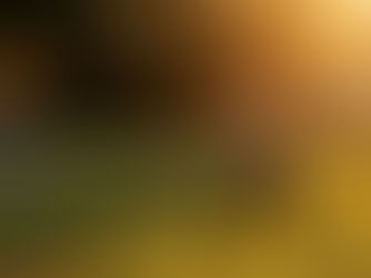 Unlock Your Disc Golf Potential: Next Steps After Your First Lesson