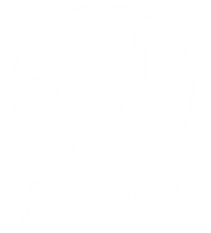 Sin-título-1.png