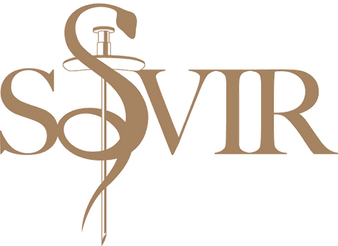 SSVIR_brons_transp_webb.png