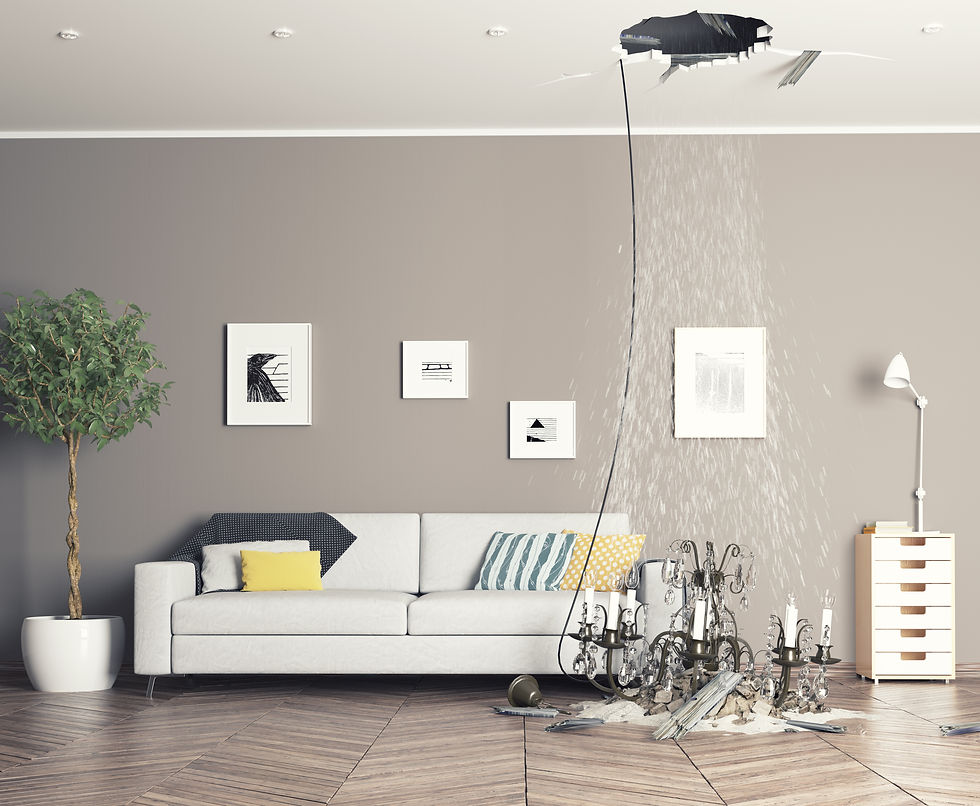 Living room with water leaking from a ceiling hole onto a fallen chandelier, gray sofa with colorful cushions, green plant, and wall art.