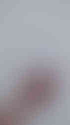 Video campaign showcasing a series of beauty products by Honestly Essential.