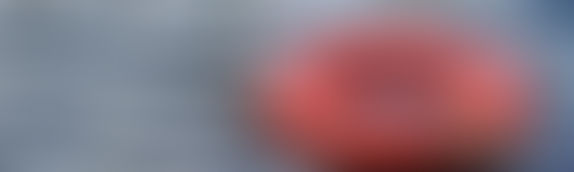 Schulman Blitz, LLP Settles Case For Family Of Drowning Victim