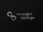 Abstract white infinity symbol with the text "entangled topologist" on black background. Sleek and modern design.