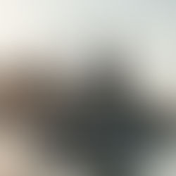 Boat "Skyline Princess" sails near Brooklyn Bridge against a backdrop of New York City skyscrapers at sunset, with calm water reflecting light.