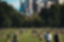 Common Summer Injuries in New York: What to Know and When You Have a Case