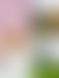 Maschi e femmine: educare oltre gli stereotipi per crescere adulti più liberi