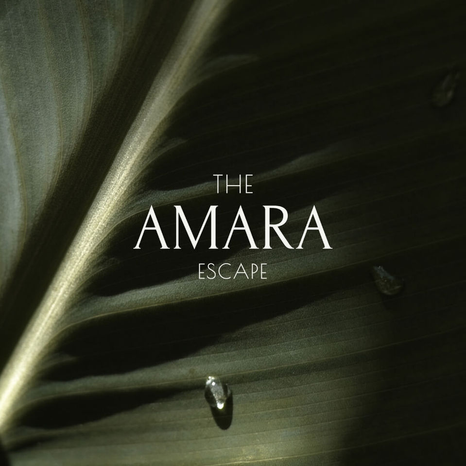 Logo amara 2