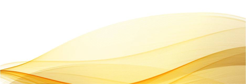 header and footer-01.jpg