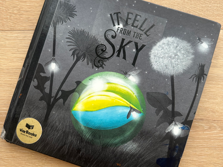 It fell from the sky