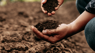 Growing Momentum for High-Integrity Carbon Markets Takes Center Stage During London Climate Action Week