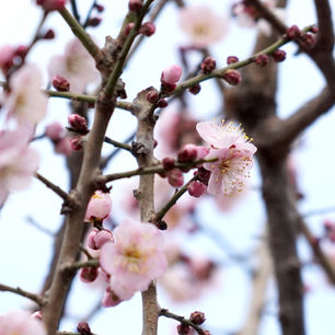 【全学年】保育参観