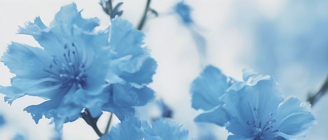 something blue in nature_edited.jpg