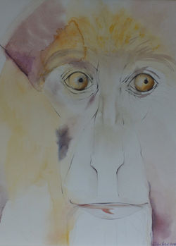 Year of the Monkey - 2016 Chinese Zodiac