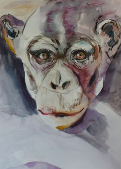 Year of the Monkey - 2016 Chinese Zodiac