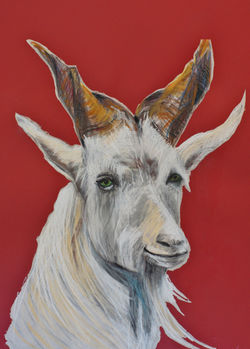 Year of the Goat - 2015 Chinese Zodiac