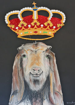 Year of the Goat - 2015 Chinese Zodiac