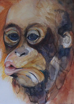 Year of the Monkey - 2016 Chinese Zodiac