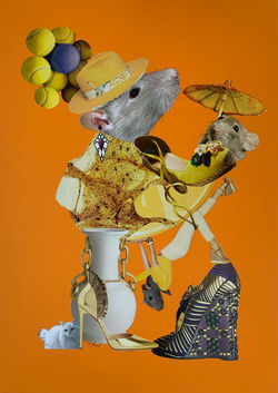 Year of the Rat - 2020 Chinese Zodiac