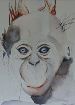 Year of the Monkey - 2016 Chinese Zodiac