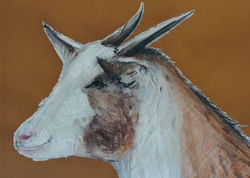 Year of the Goat - 2015 Chinese Zodiac