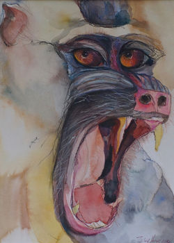 Year of the Monkey - 2016 Chinese Zodiac