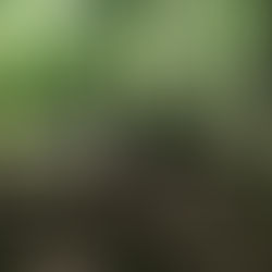          Toți suntem elevi și în același timp pedagogi