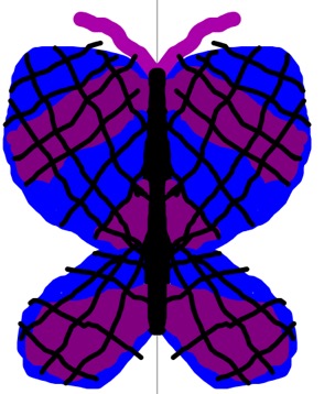 symmetry artist website