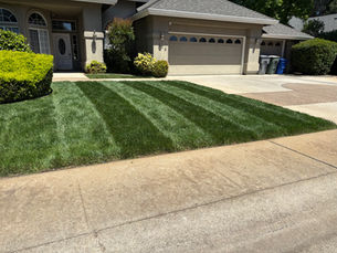 Lawn mowing and maintenance service Redding CA residential front yard