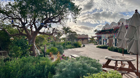disney lookout cay
lighthouse point.
