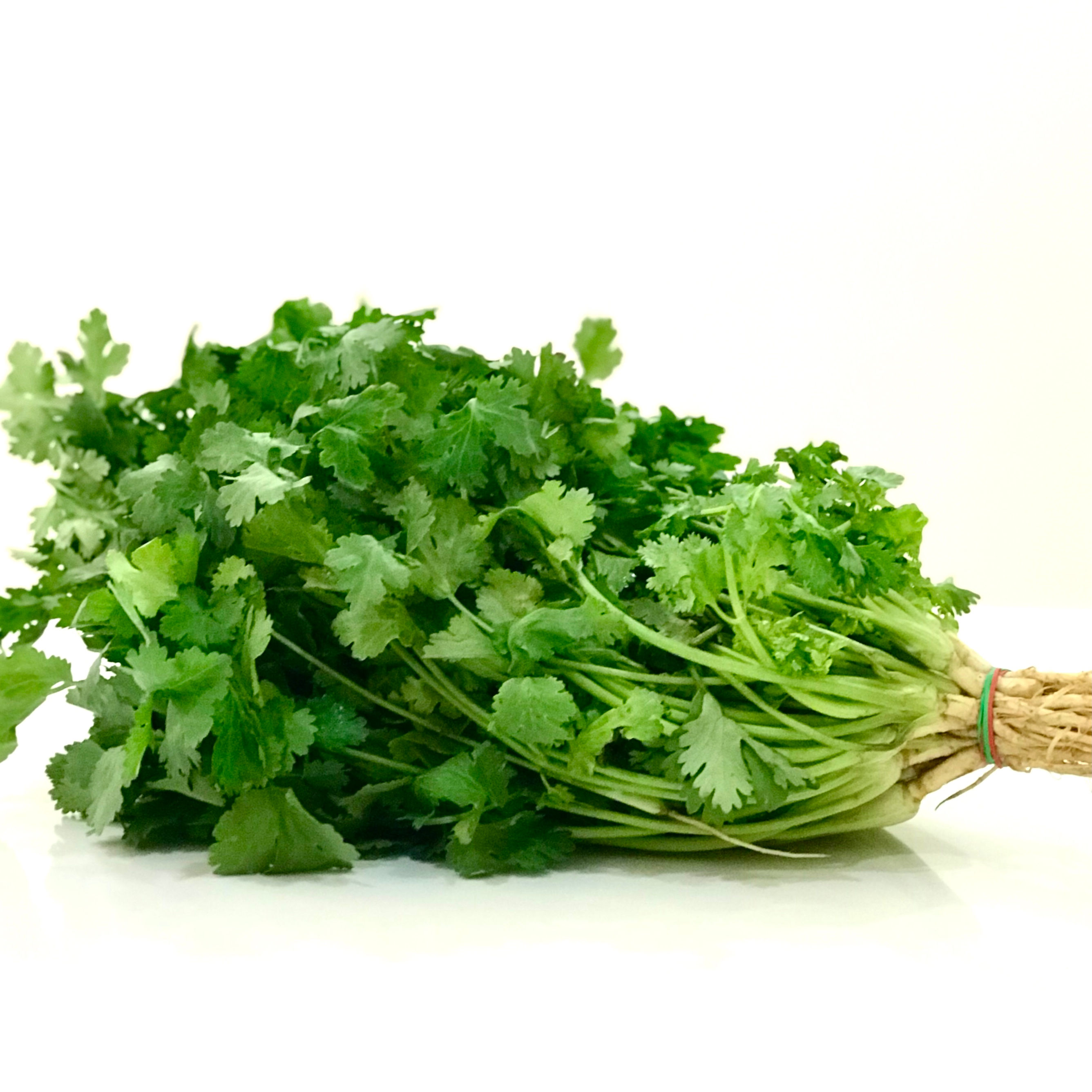 Coriander 100g+/-